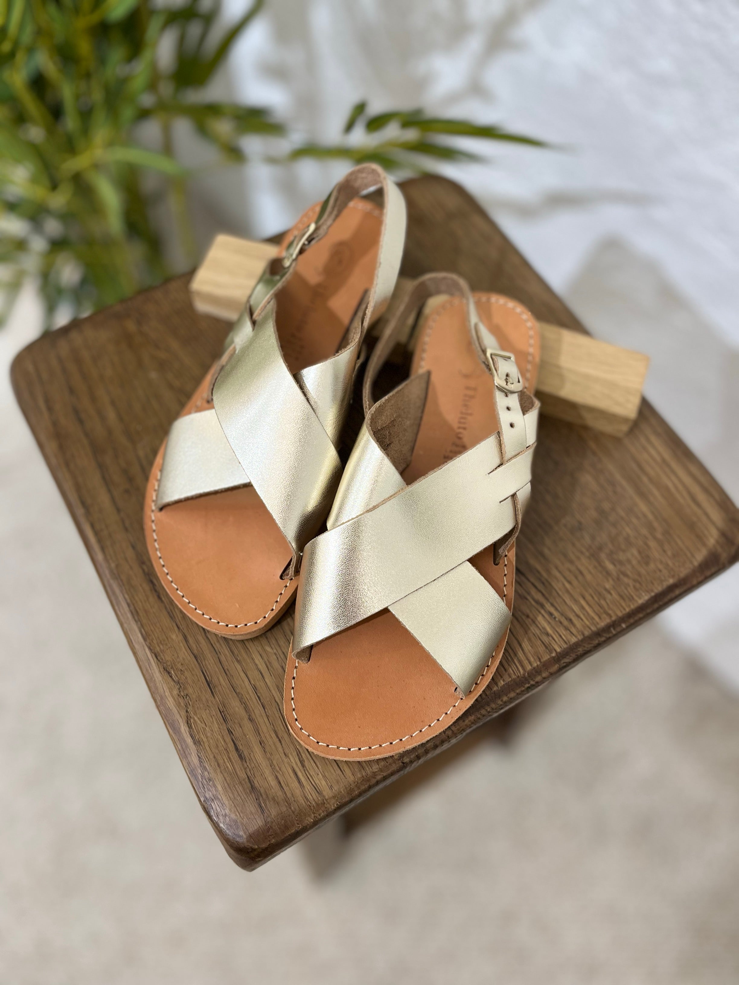 CHAUSSURE TOM - OR MAT