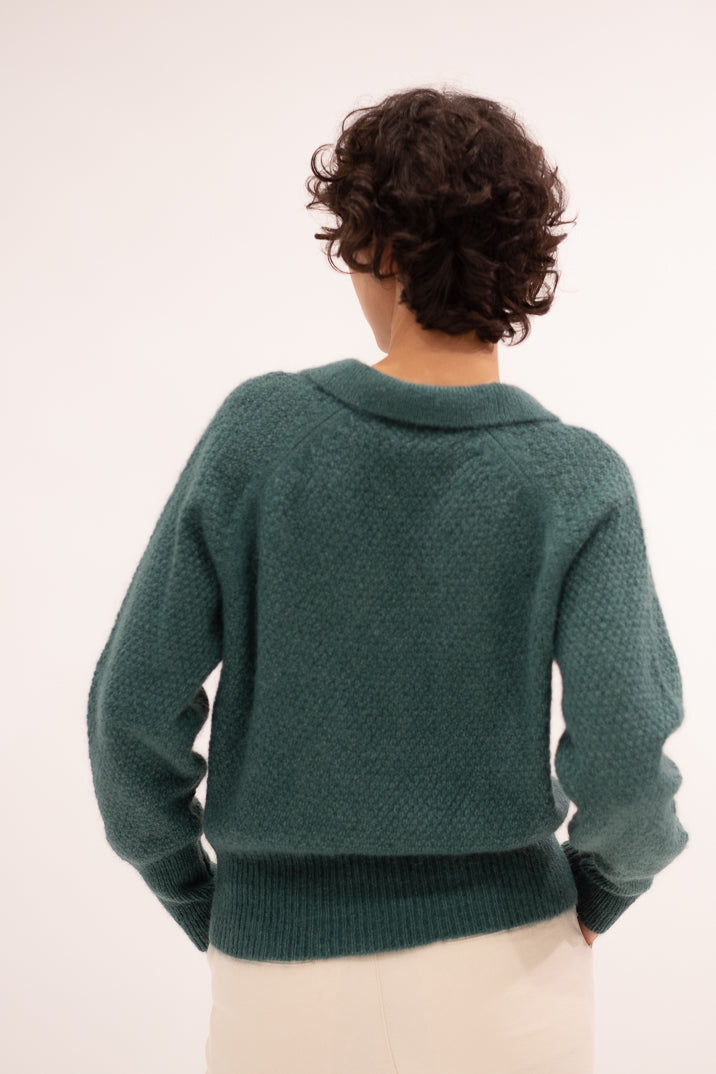 PULL MODESTIE - FORET